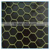 PVC Coated Hexagonal Wire Mesh/Plastic Coated Hexagonal Wire Mesh Made in China thumbnail-3
