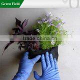 Simply Felt Root Wrapper