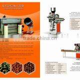 The Coated Peanut Machinery thumbnail-1