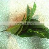 Home and Outdoor Garden Edging Christmas Decoration 60cm or 24inches Height Artificial Small Grass for Green Wall E04 1025 thumbnail-5