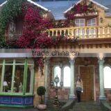 Home and Outdoor Decoration Synthetic Cheap Artificial Vertical Green Grass Wall E08 04Q59 thumbnail-2