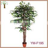 Good Quality Artificial Ficus Tree for Abroad Markets thumbnail-1
