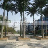 China wholesale royal palm tree ornamental artificial washingtonia robusta palm trees for sale