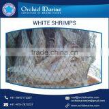 Premium Quality Natural Taste White Shrimps With Long Shelf Life thumbnail-4