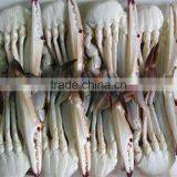 Frozen Half Cut Blue Swimming Crab With Reasonable Price thumbnail-1