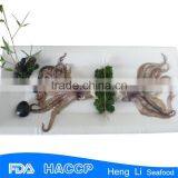 HL0088 Frozen Rings+tentacles thumbnail-4