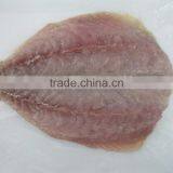 Horse Mackerel thumbnail-2