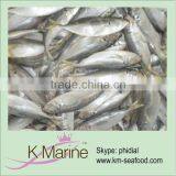 Export Marine Fish Sea Frozen Horse Mackerel thumbnail-1