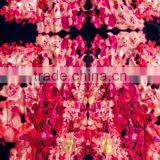 Spandex/nylon Fabric for Swimwear With Fashion Printing.