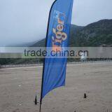Wind Flying Flag thumbnail-1