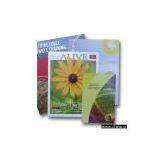 Magazine thumbnail-1