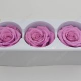 A grade preserved roses with Customized color long lasting flower inartificial ecuadorian roses