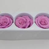 Preserved Rose Heads Look Like Artificial Flowers? It′s 100% Real! thumbnail-1