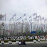 Nanjing Youth Olympic Flag Pole With Sculture in China