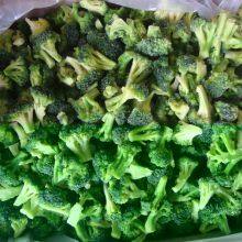 IQF Frozen Broccoli thumbnail-2