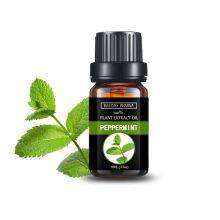 Natural Peppermint Oil Massage Essential Oil New Fresh Mosquito Repellent Refreshing Analgesic Skin Care thumbnail-5