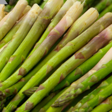 80pcs Asparagus Seeds Vegetable Garden Asparagus Sparrow Grass Asparagus Officinalis Seeds for Planting thumbnail-3
