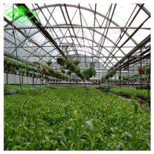 Hot Sale UV-protection Plastic Sheed 3-5 Layers Clear Anti-fog Plastic Film Covering Greenhouse thumbnail-4