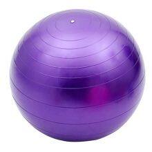 Custom High Quality PVC Pilates Balls and Yoga Balls for Home Gym,Yoga Clubs,Physical Therapy Center thumbnail-4