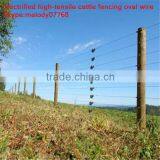 Electric Fence Wire in Brazil Cattle Fence Oval Wire