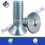 Made in China CSK Head Allen Screw
