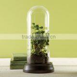 Glass Dome, Decorative Glass Dome, Glass Belljar Dome thumbnail-1