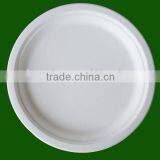 Biodegradable Plate thumbnail-1