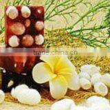 Handmade Soap - Natural Spa Fruit Soap Loofah Tamarind Scrub Silk Soap