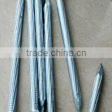 Black Galvanized Hardened Steel Concrete Nail With High Quality thumbnail-1