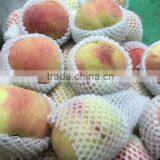 High Quality Soft Foam Net, Strawberry Net Wrappers, PE Foam Flower Bud Protective Netting thumbnail-4