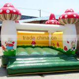 Popular and Factory Inflatable Bouncer With CE Certification, Inflatable Jumper, Bouncy Castle thumbnail-6