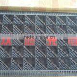 Module Entry Doormat for Government thumbnail-4