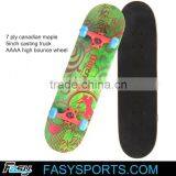 ce approved skateboard cruiser skate board skateboard skateboard OEM