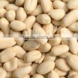 Blanched Peanut Kernels, Peanuts in Shell, Roasted Peanut Inshell thumbnail-1