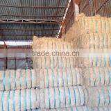 Coconut Fiber High Quality (QQ : 2598494113) thumbnail-3