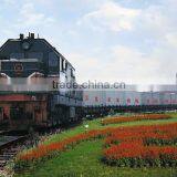 Personal Transport Vehicle/transport Costs Container Shipping From China thumbnail-3