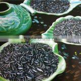 Sunflower Seeds 5009 thumbnail-3