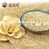 White Broomcore Millet With Reasonable Price 2016 Crop thumbnail-3