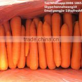 2016 fresh red carrot organic high quality HACCP Gap Kosher Size S M L 2L 3L