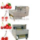 2016 Industrial Hot-sale Plum Stoner Processing Machine thumbnail-6