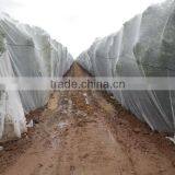 Hdpe New Material Anti Bird Netting for Sale thumbnail-2