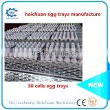 Making Machine Egg Tray Cartons Egg Tray Making Machine in Japan thumbnail-2