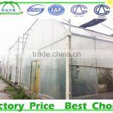 Low Cost Small Greenhouse thumbnail-6