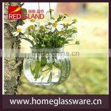 Hanging Flower Pot , Flower Planter, Hydroponic Flowerpot thumbnail-1