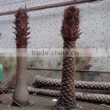 Q020214 Garden Decoration Artificial Tree no Leaves Plastic Palm Tree Natural Fake Tree Trunks