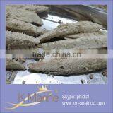 Precooked Sarda Loin For Canned Food Lot Number#kml4047 thumbnail-1