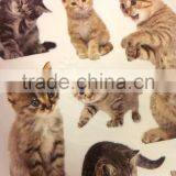 Vivid Animal Embossed Paper Sticker, Paper Sticker With Cat Pattern for Decoration thumbnail-5