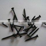 Drywall Nail thumbnail-1