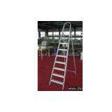 Aluminum Ladder thumbnail-1
