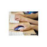 Data Entry Searching Internet for Relevant Information thumbnail-1